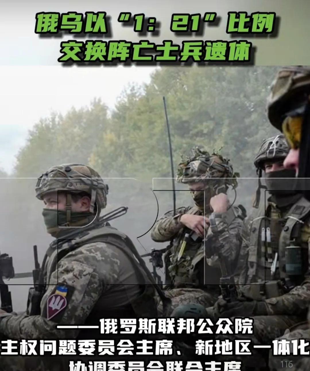 俄罗斯联邦公众院主权问题委员会主席、新地区一体化协调委员会联合主席弗拉基米尔·罗