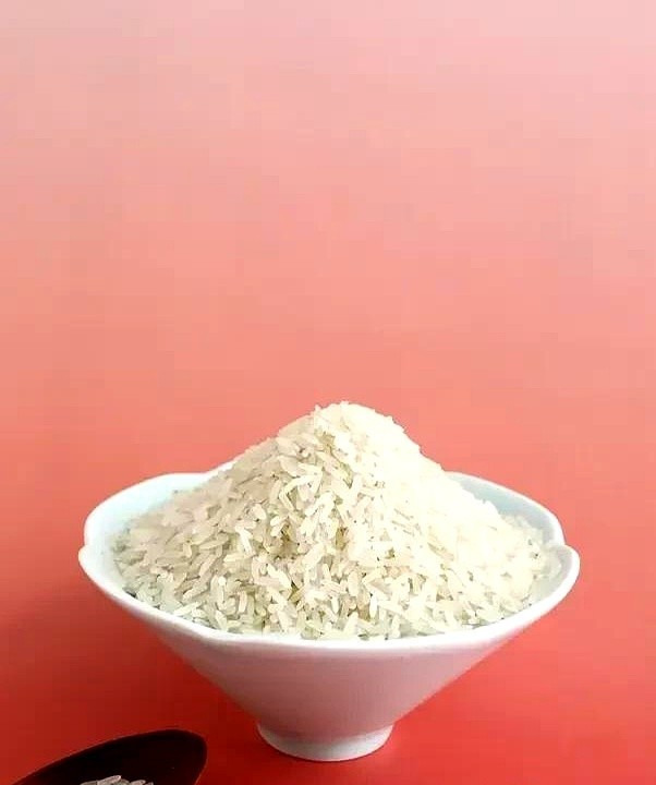 AI有过期日？别慌，囤米才是正经事！











听说AI知识要过期了