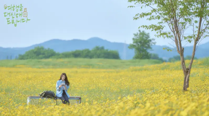 韩剧《代客旅行》定档8月播出
