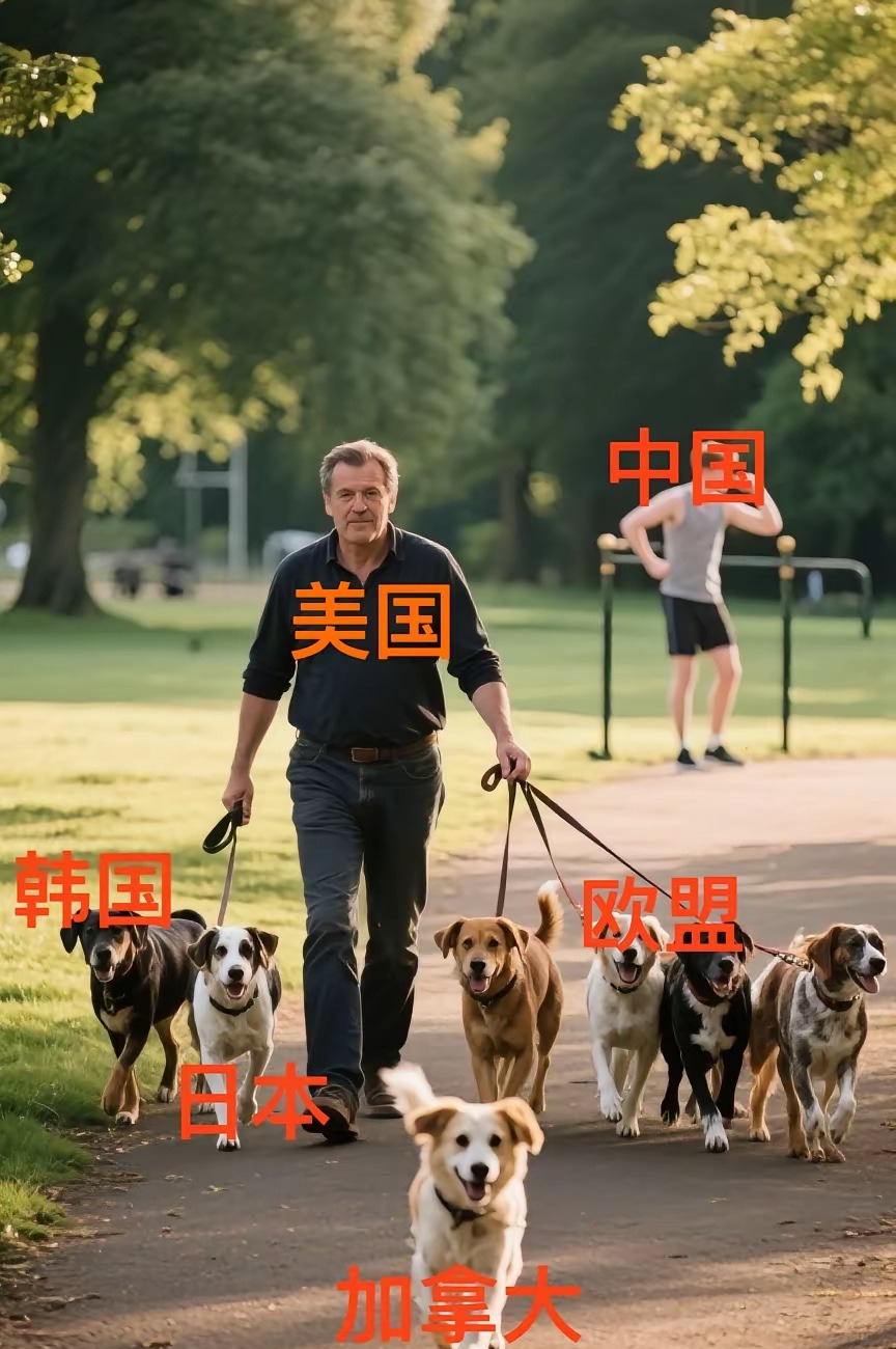 知识截止2024，世界格局真奇妙











嘿，你知道吗？咱们脑袋里