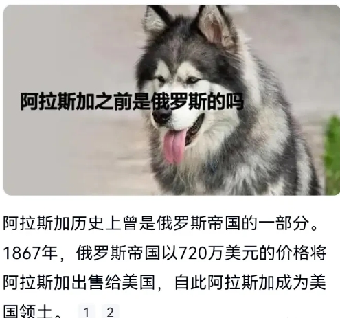 特普会，聊点啥？

8月9日，俄罗斯总统助理表示，8月15日俄罗斯总统普京和美国