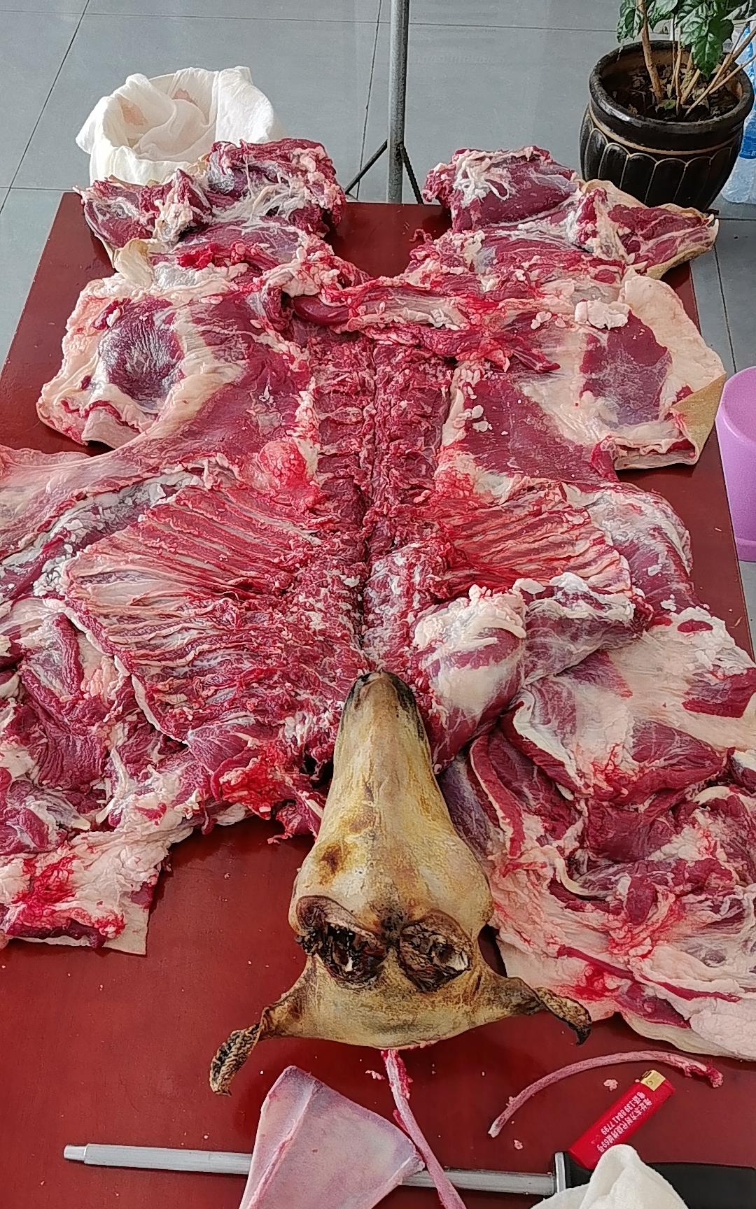 搞定，一只两千块的羊，就这么点肉