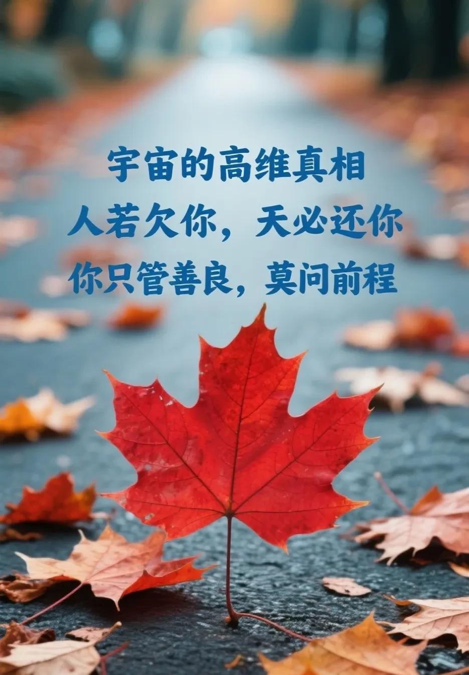 宇宙的高维真相：人若欠你，天必还你，你只管善良，莫问前程。
有人说，人这一生，吃