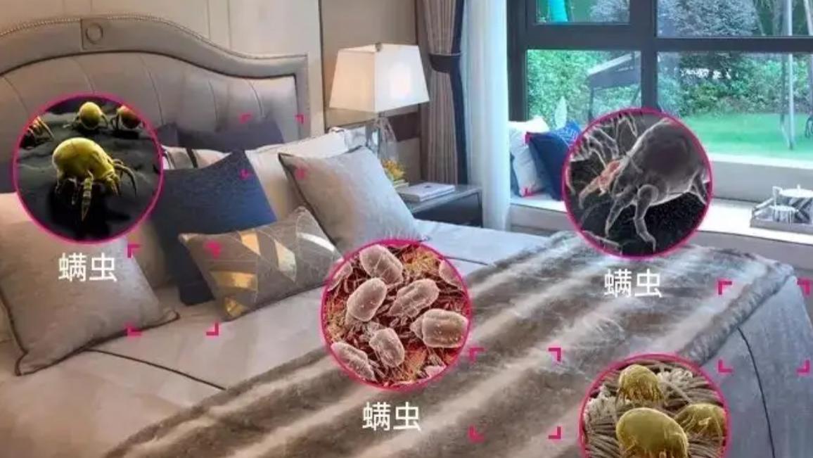 除螨仪前十名热门排行榜？2025年10大公认口碑好的的除螨仪测评！