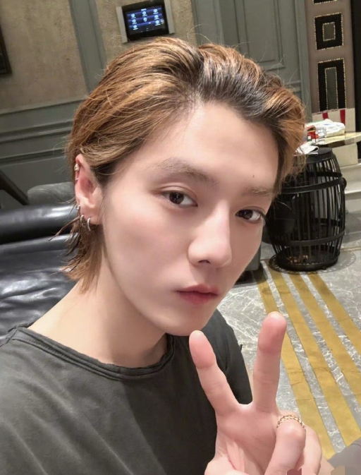 我怀疑过鹿晗会永久退网，
也怀疑过鹿晗是不是和关晓彤分手了，
万万没想到，他竟会