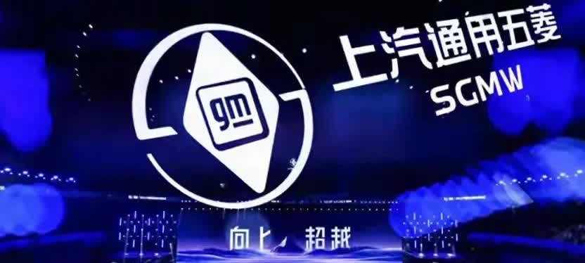一觉醒来，车市炸锅了！

财政部刚发话，2025年买油车和新能源车都有补贴，