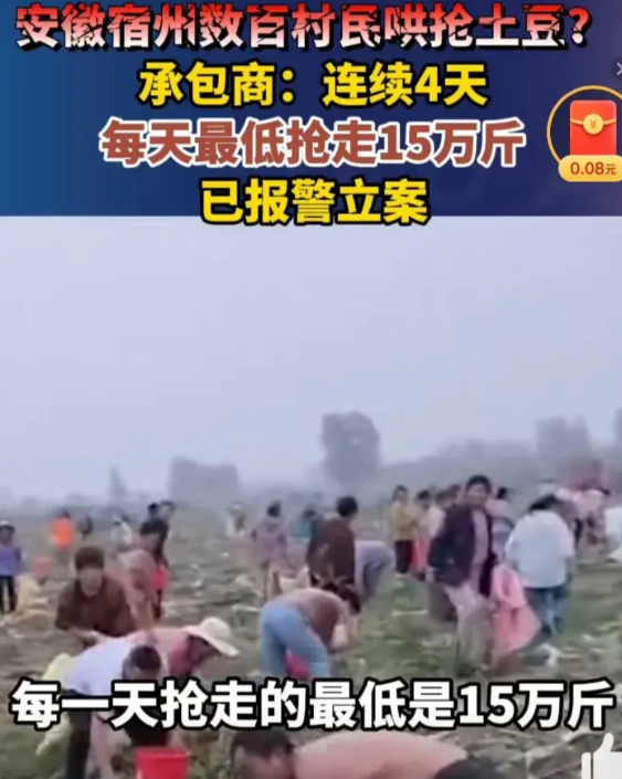 抢土豆肯定是不对，在过去我也会去抨击，但现在我会更客观的看待问题，很多年前就发生