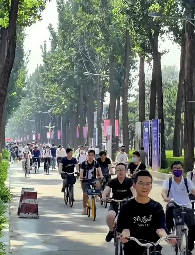 清华大学，是无数人心中的学术圣殿。能迈进这所学校，那可是一生的荣耀。镜头中的学子