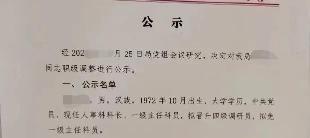 朋友发来好消息，他的大哥升职了。他大哥在市审计局工作，目前职务是人事科科长，职级