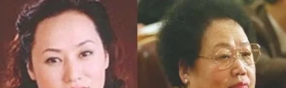 1995年，陈丽华和儿子商量生意的问题，迟重瑞突然插了一句。只见，陈丽华瞬间变了