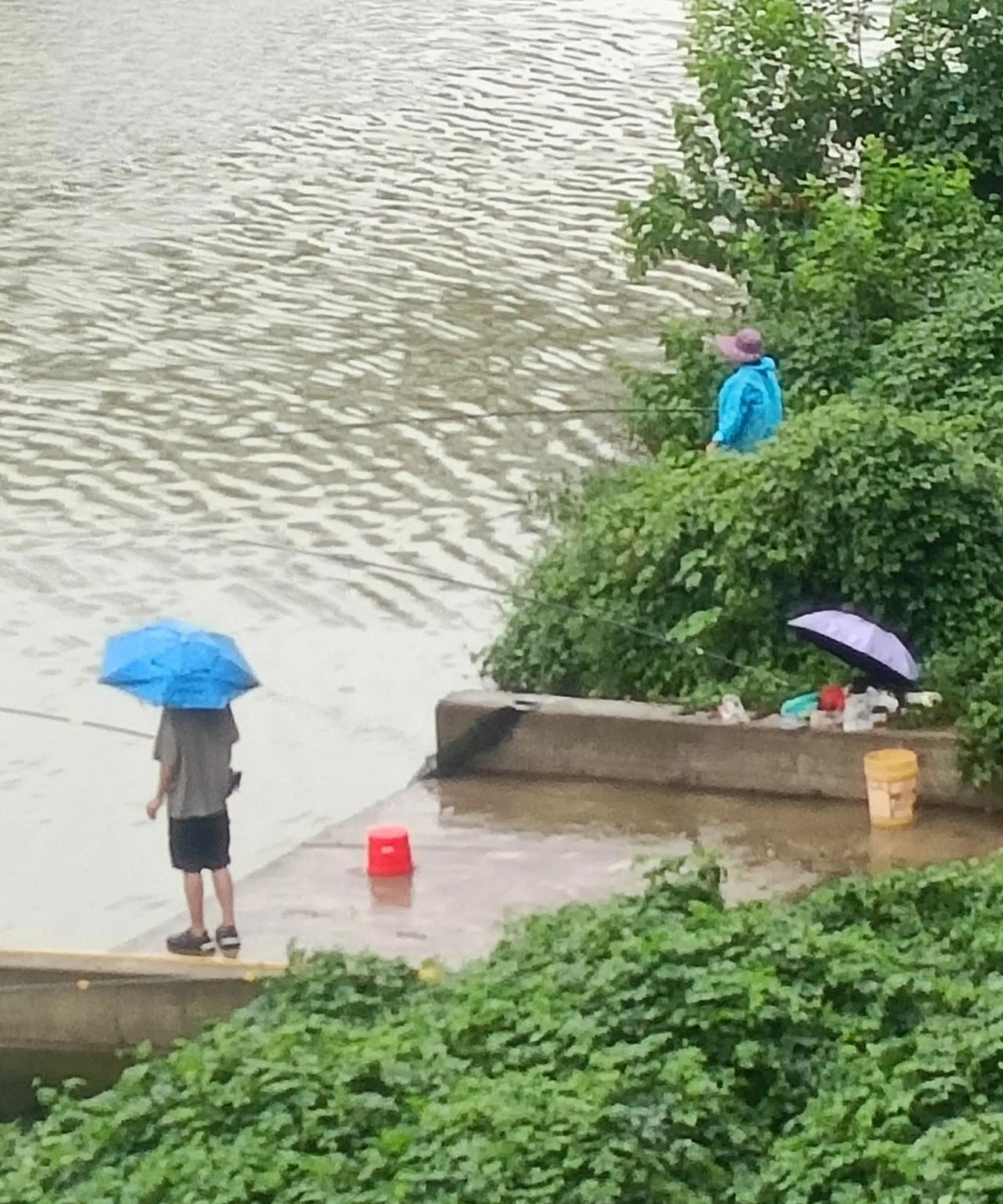 #晒图笔记大赛#雨中的宣漢州河垂釣