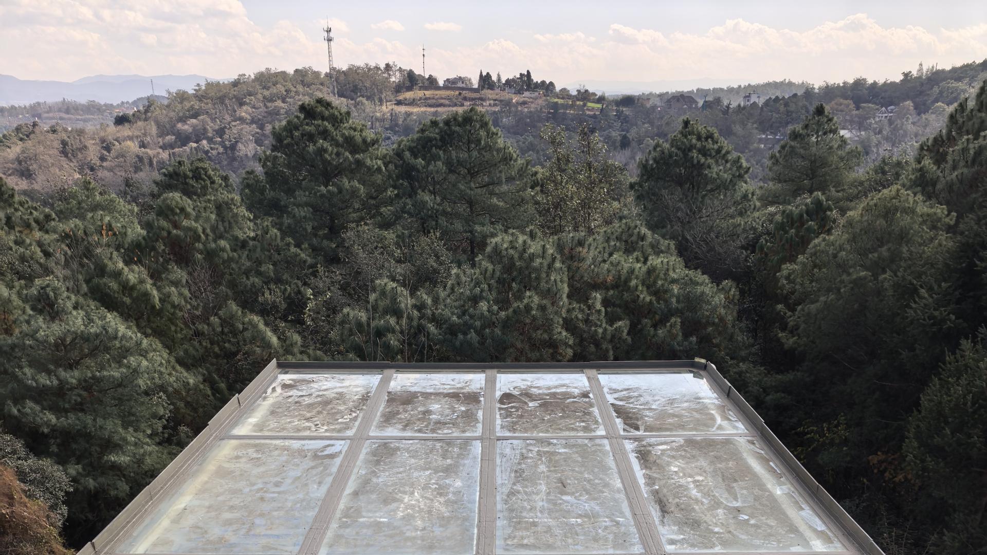 地下车位墙面‘冒汗’，爱车生锈，向日葵来除湿！