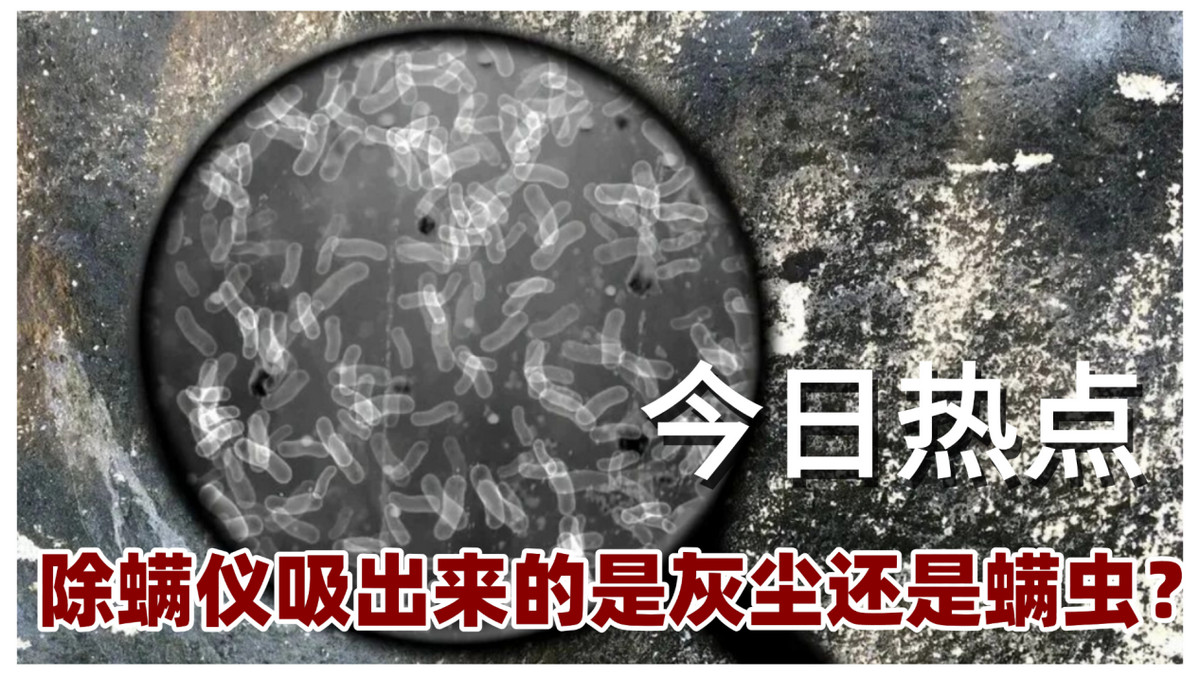 床上除螨仪是智商税吗？除螨仪吸出来的是灰尘还是螨虫？附除螨仪10大选购指南，新手看完不愁！