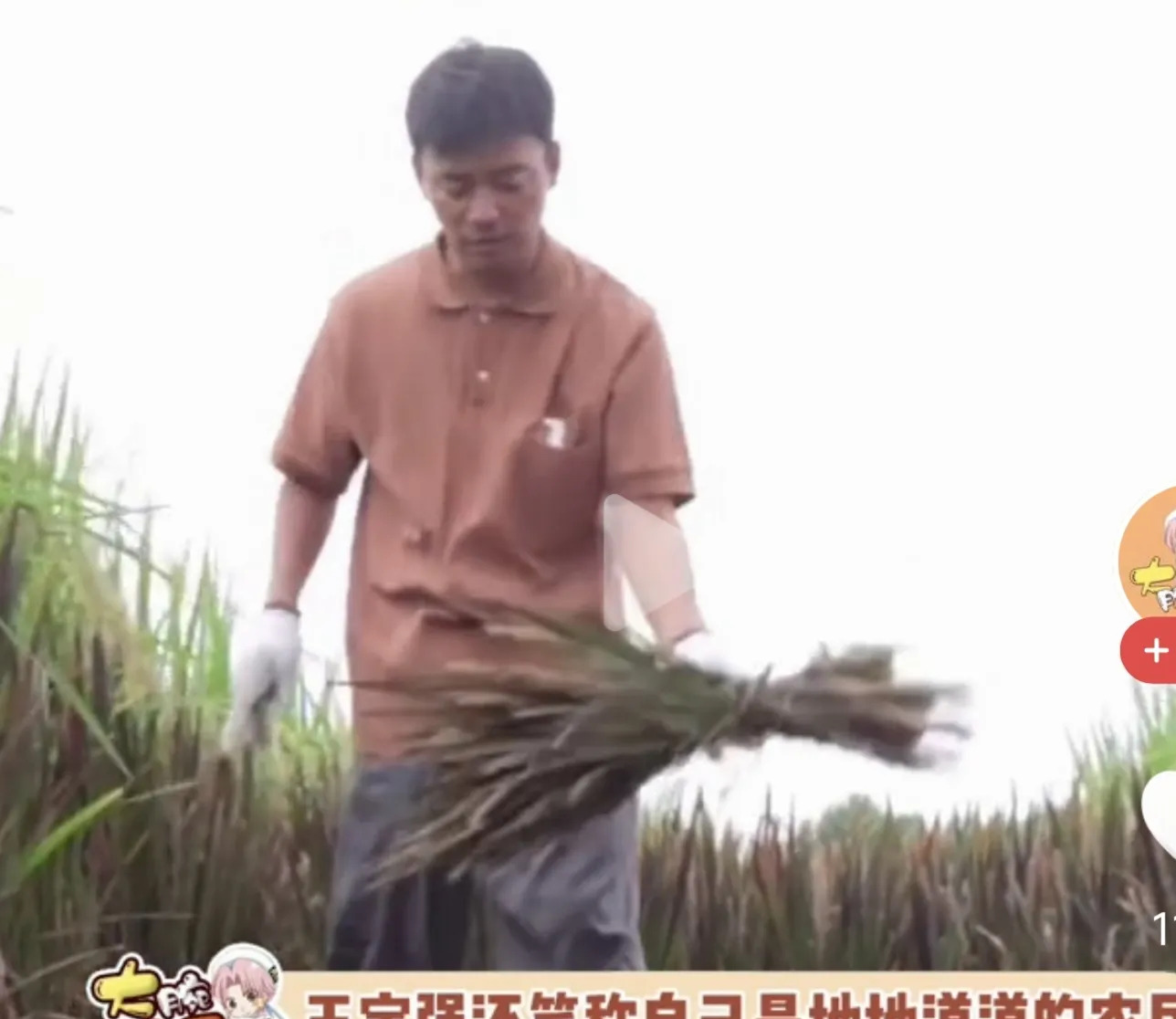 王宝强戴白手套引争议











宝强戴白手套干活视频一出，网友炸锅！