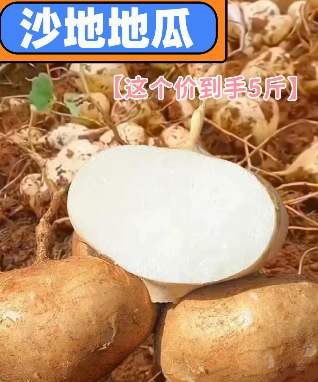 这个不是萝卜，也不是普通的红薯，它是比红薯甜、比萝卜脆的凉薯。它富含丰富的膳食纤