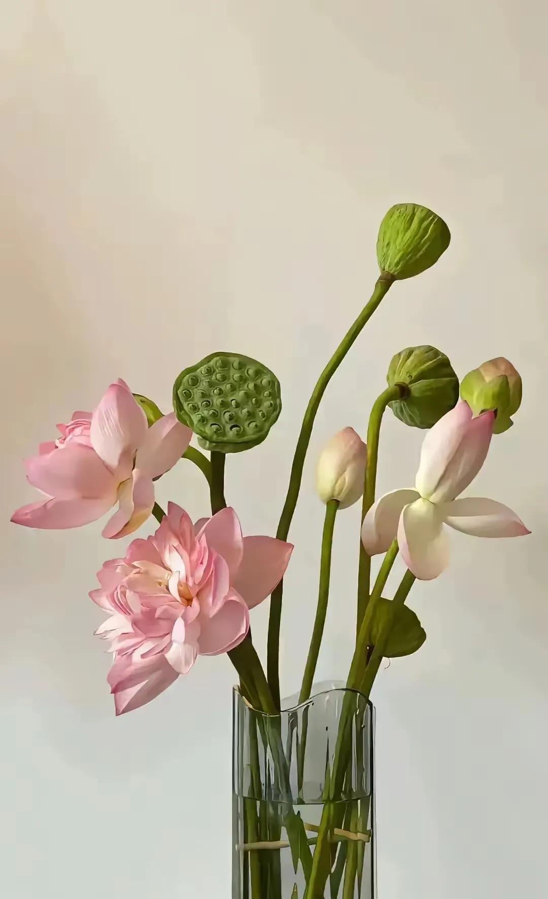 有人问我网上传杜峰可能下课！
我想说的是～～～～网上传的事情我从来不置可否，只要