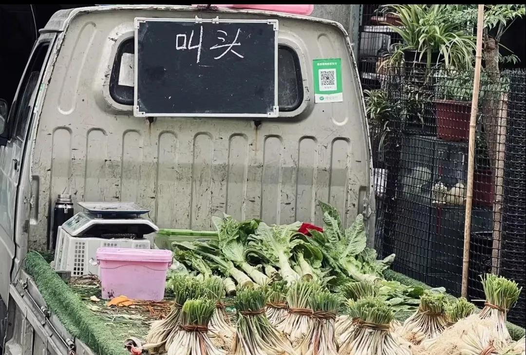 远看时真没看出他这叫头是什么东西，走近一看原来是藠头！[偷笑][偷笑][偷笑]