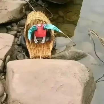 钓鱼时候飘过来的，这是个啥？