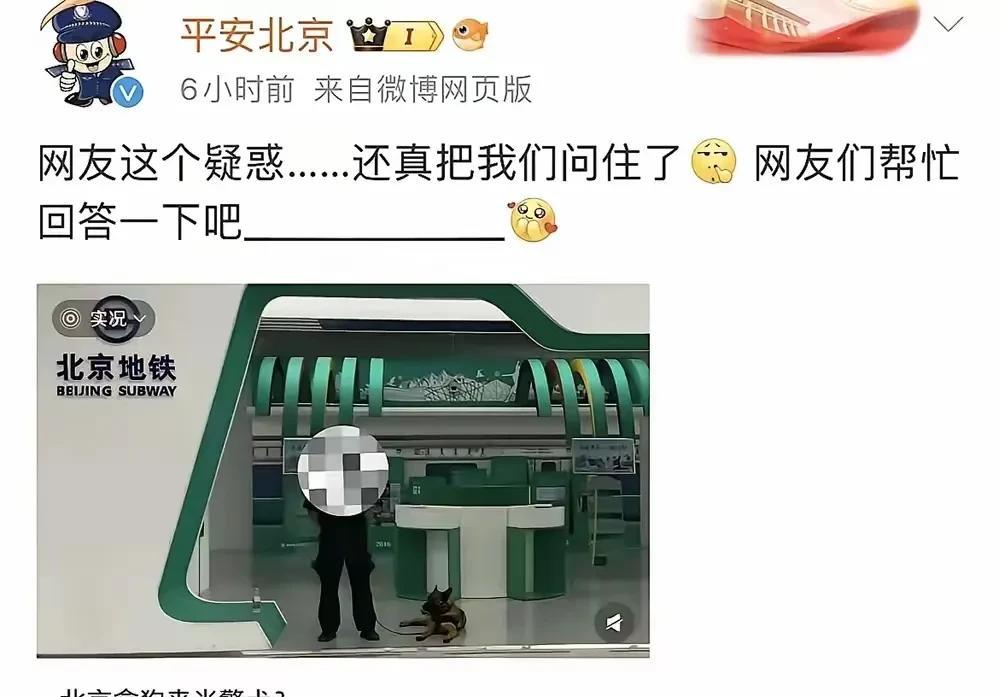 警察蜀黍: 我想报警，110报警电话是多少？
网友: 这又是那个智障人士提出的问