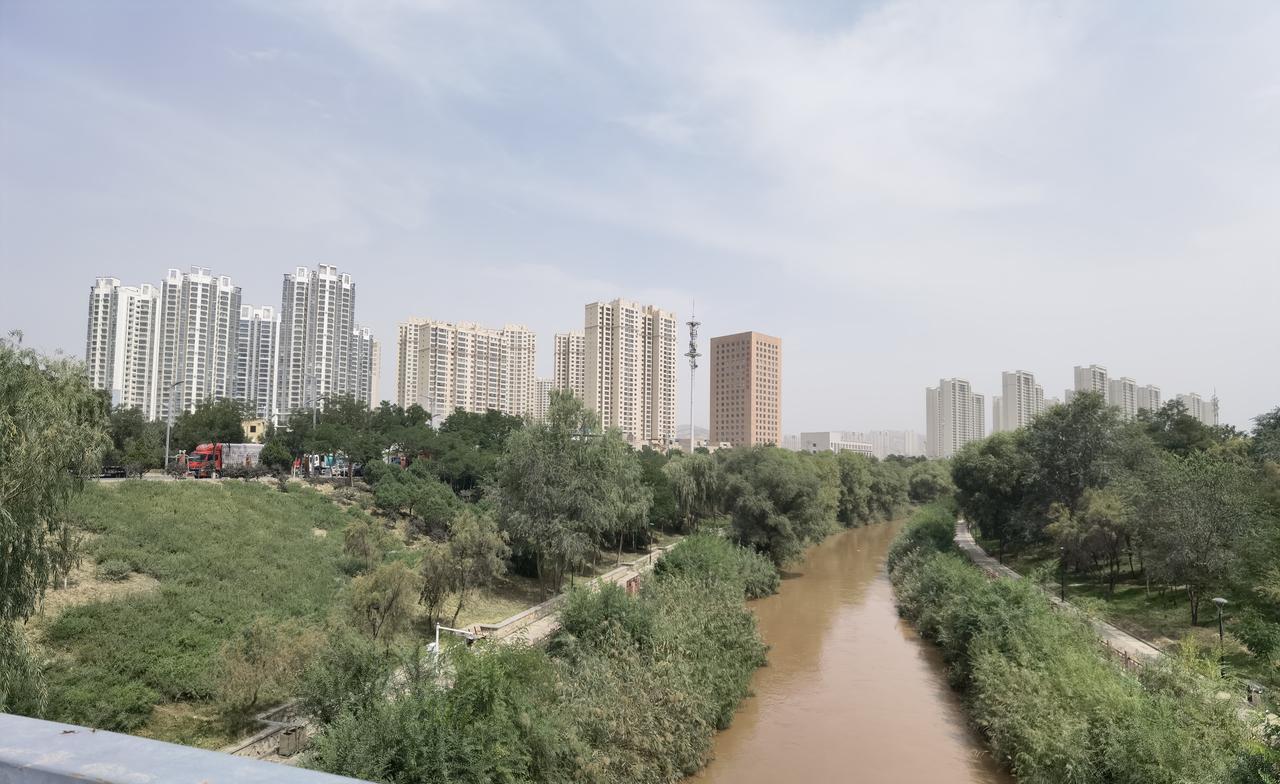 兰州南河道真让人恍若到江南！今天路过南河道，看到河道边上真是郁郁葱葱，茂密的芦苇