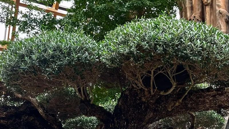 山西太原植物园旅游全攻略：探秘城市绿肺的四季之美