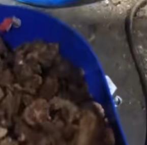 “找了好几趟，凑近了才闻见那股腐臭味！”  



这股令人作呕的气味，最终引导