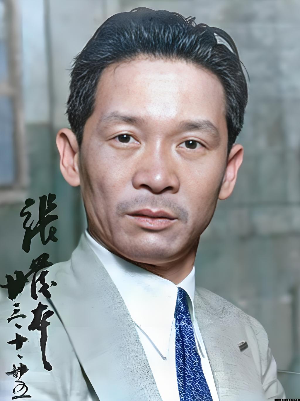 这张照片呈现的是张发奎的形象。他身着浅灰色西装，内搭白色衬衫，系着带有花纹的蓝色