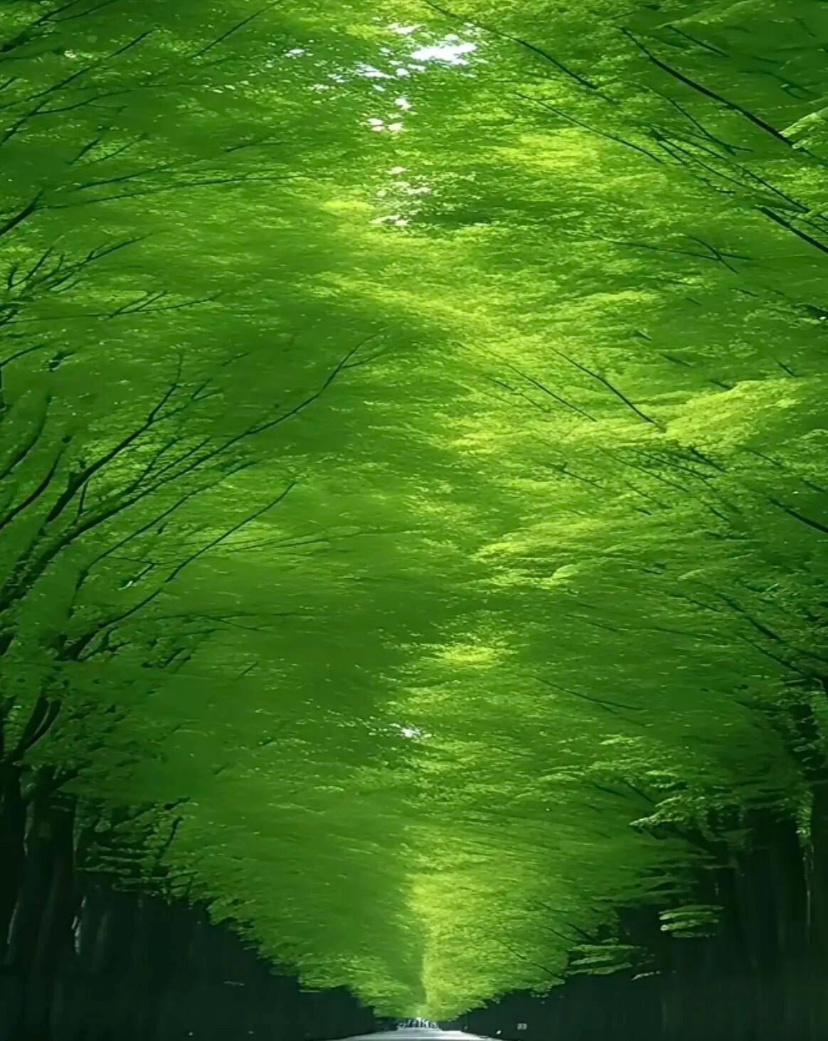 人静物简 眼中有风景，心中无是非。
人静，物简，心安…