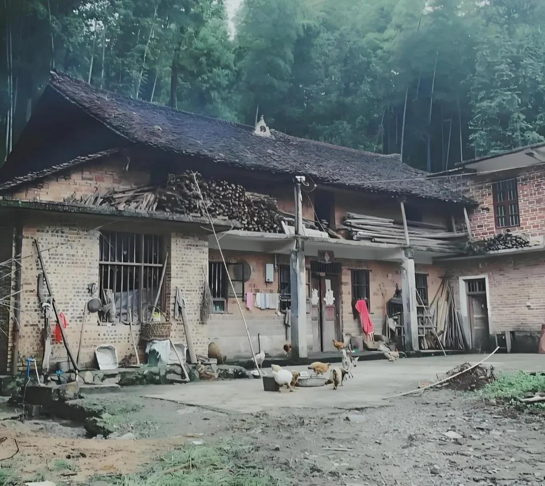 有宅基地的人注意了！
抓紧办这三件事，
别等过了才后悔！
一、第一件，抓紧确权