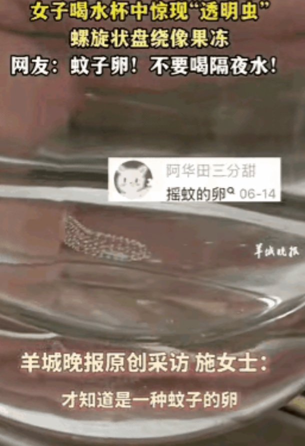 “太吓人了！”云南大理，一女子起床前喝了半杯隔夜水后，竟然惊奇地发现杯子里面有一
