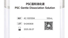 iPS细胞：照亮脊髓损伤治疗之路的曙光