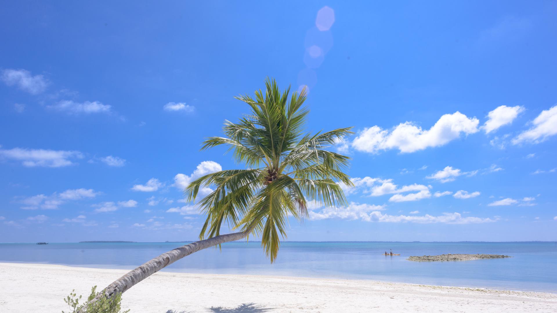 被团队孤立的心理疗愈：不自我怀疑，主动建立有效连接而非迎合