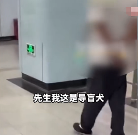 “太缺德了！”8月6日，上海，一位女孩因为视力有问题，带着导盲犬乘坐地铁时，却突