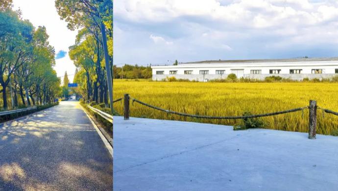 青浦citywalk路线+1，准备好开启你的惊喜盲盒了吗？