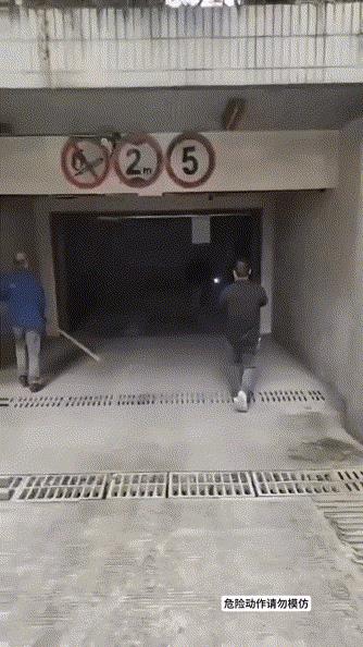 网友：还是年轻人体力好，要是我们小区保安，这头野猪可以单挑300个……