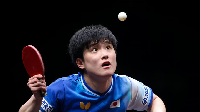 张本智和回应淘汰林诗栋！王楚钦拒绝道德绑架，退赛无关爱国