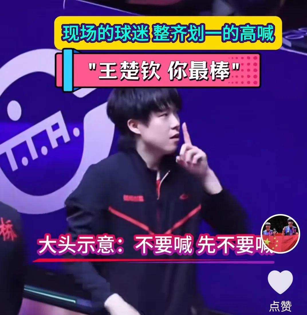 看了三场乒超联赛，最大感受是粉丝太热情。
只好选择静音看比赛，开始还以为偶像很享