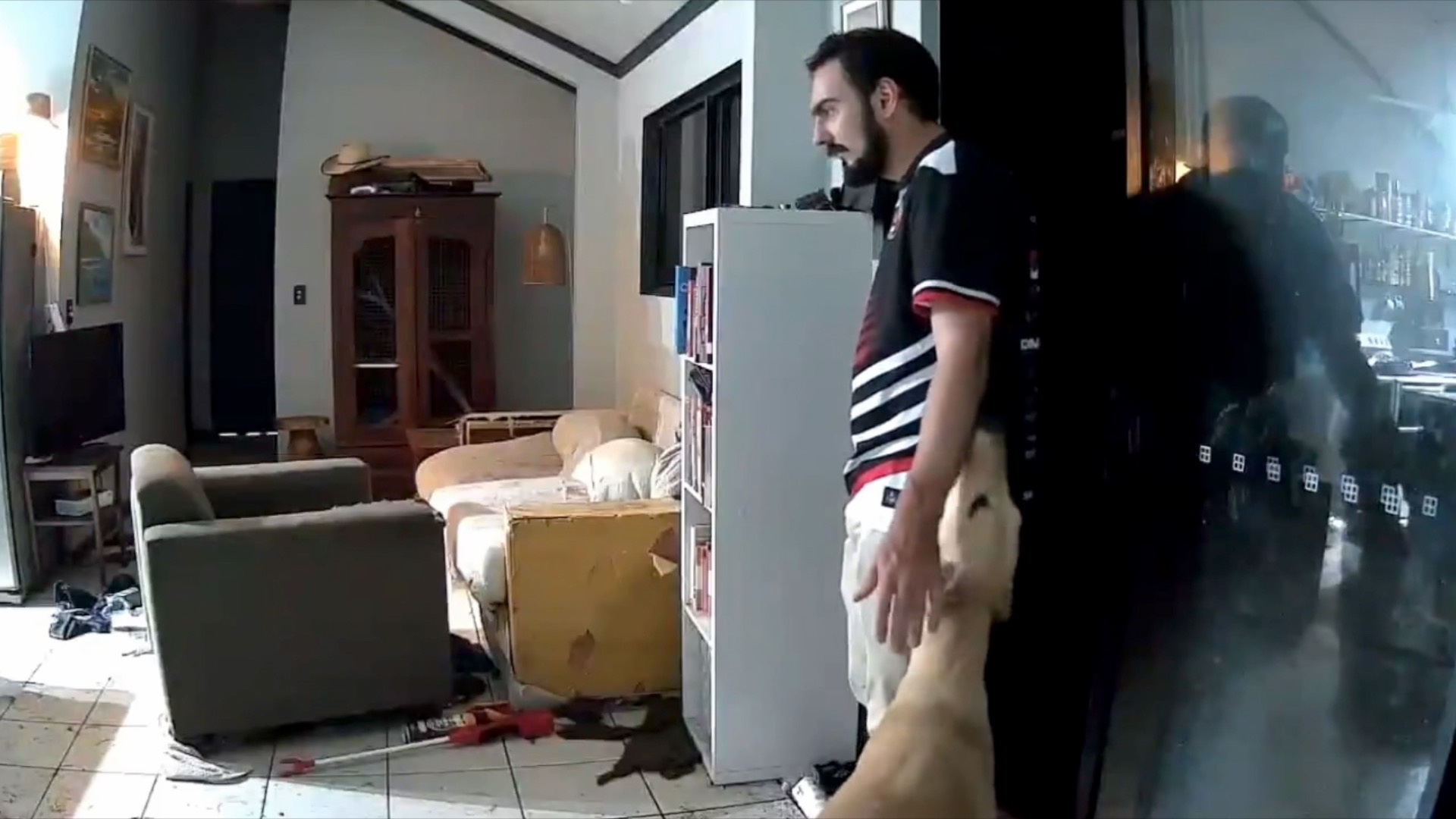 澳洲网友家中的“动物派对”：牛马闯民宅