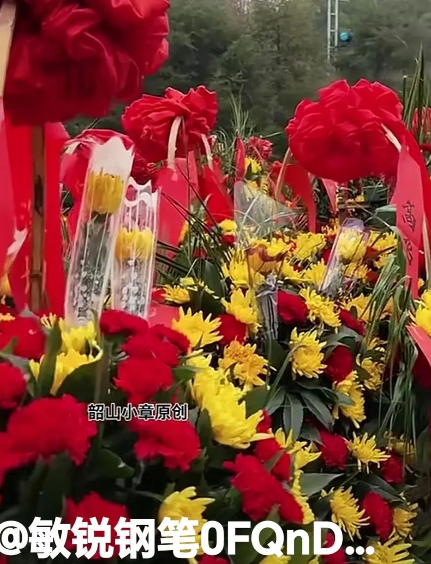 朵朵鲜花承载着全国人民的无尽思念。传递着强烈的伟人魅力。