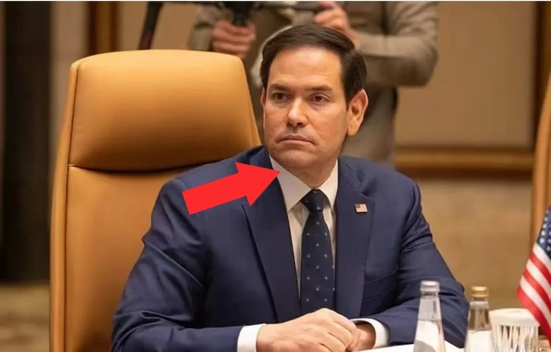 特朗普来不来 咱都不怕他











**文章：**







