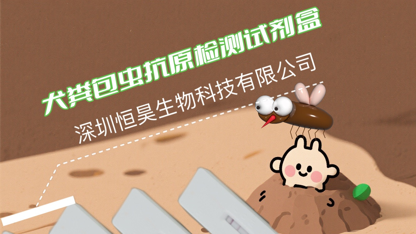 犬粪包虫抗原检测试剂卡