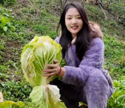 程莉莎穿花袄逛山东大集
任敏穿湖南省服在菜园摘菜
拉着老公逛山东大集的程莉莎
还