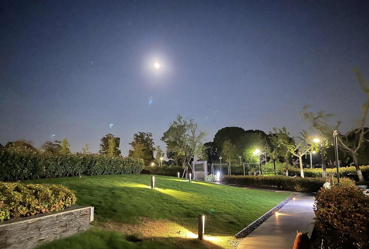 而父母不同，他们的观念是早早起来玩，一个接着一个景点，一项接着一个项目，不累就不