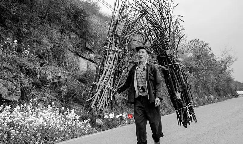 十来岁的时候为躲避“文革”武斗去农村外婆家生活了一段时间，期间跟着村的人经常去大