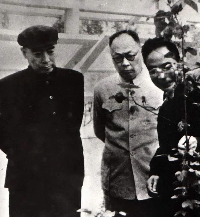 1955年4月，周恩来总理率中国政府代表团赴印尼参加万隆会议途中，在昆明停留五天