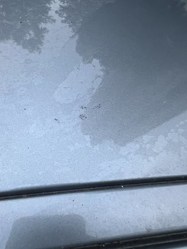 宝马车漆鸟屎腐蚀
24款的宝马325LI，今天发现车漆被鸟屎腐蚀脱漆了，正常吗？