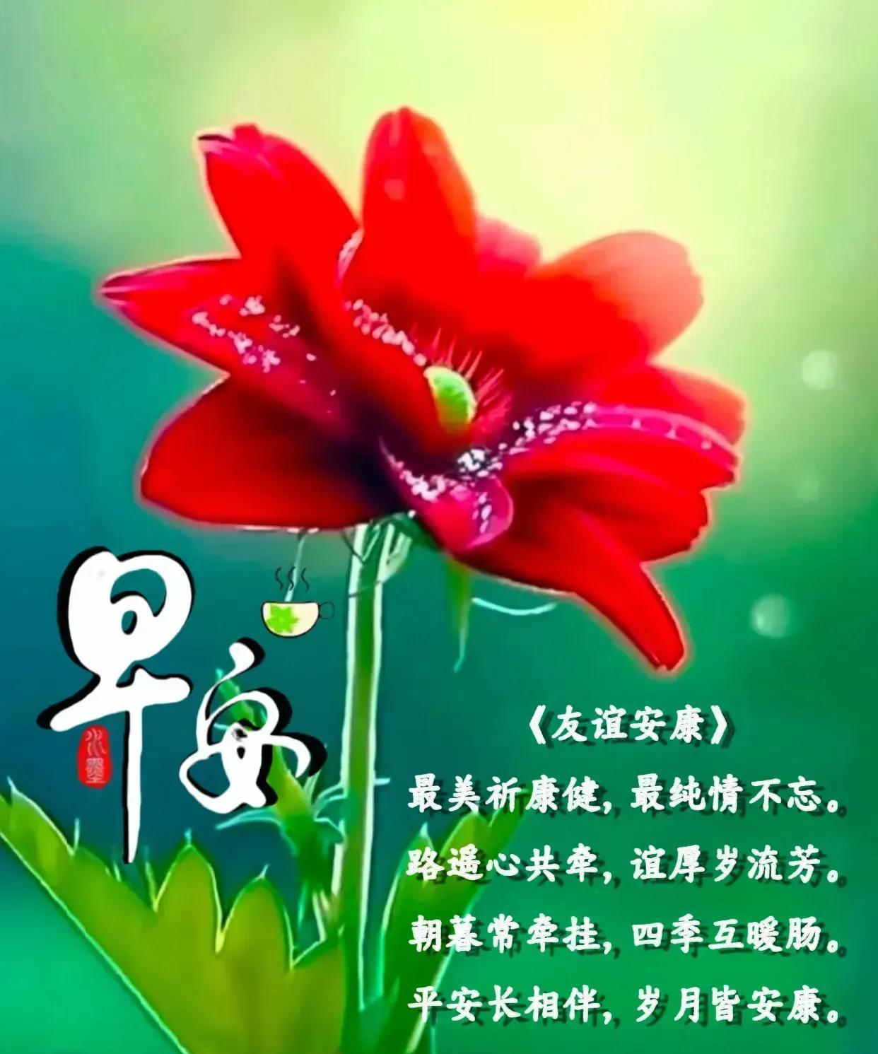 白云飘飘，挂在天边
天涯海角，情意相连
成功路上，捷报频传
相互支持，直到永远