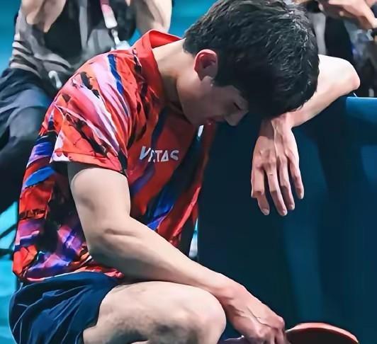 你张本智和真当自己是铁打的？别以为吼两嗓子就能把奖杯震下来！
昨儿多哈世乒赛看得