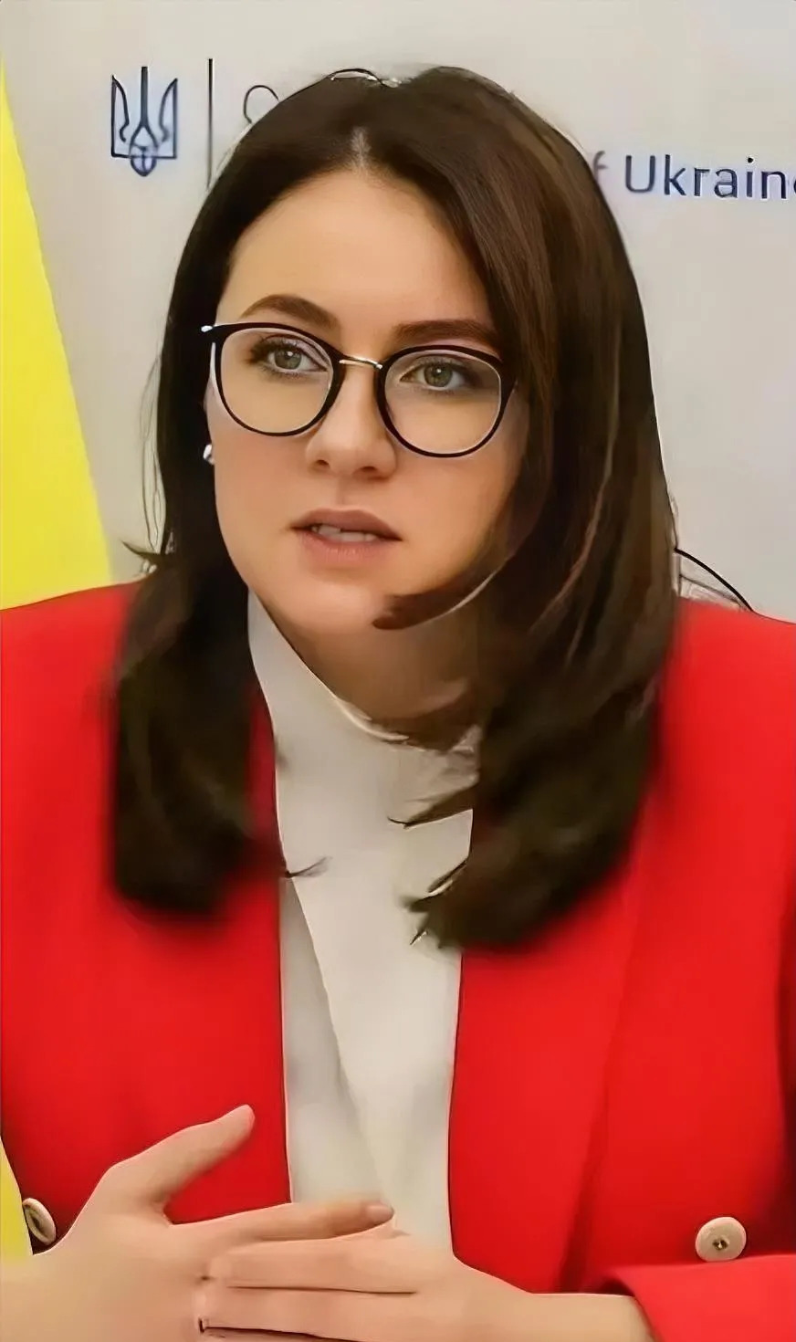 乌克兰女总理上任，国家要变天了











乌克兰总理大换血，一个44