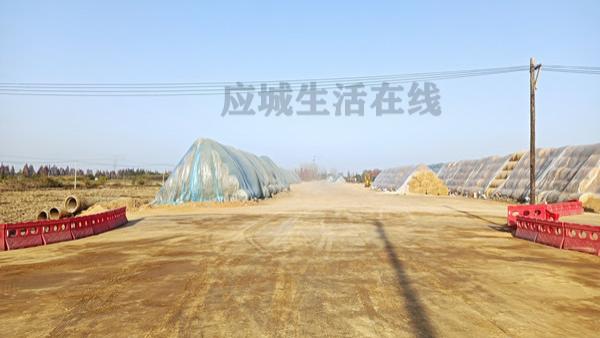 孝感至汉川S109一级公路项目2024年12月份进展